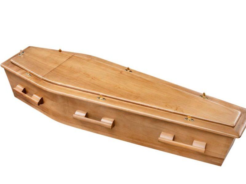 Luxury Velvet-lined coffin with polished exterior and ornate handles